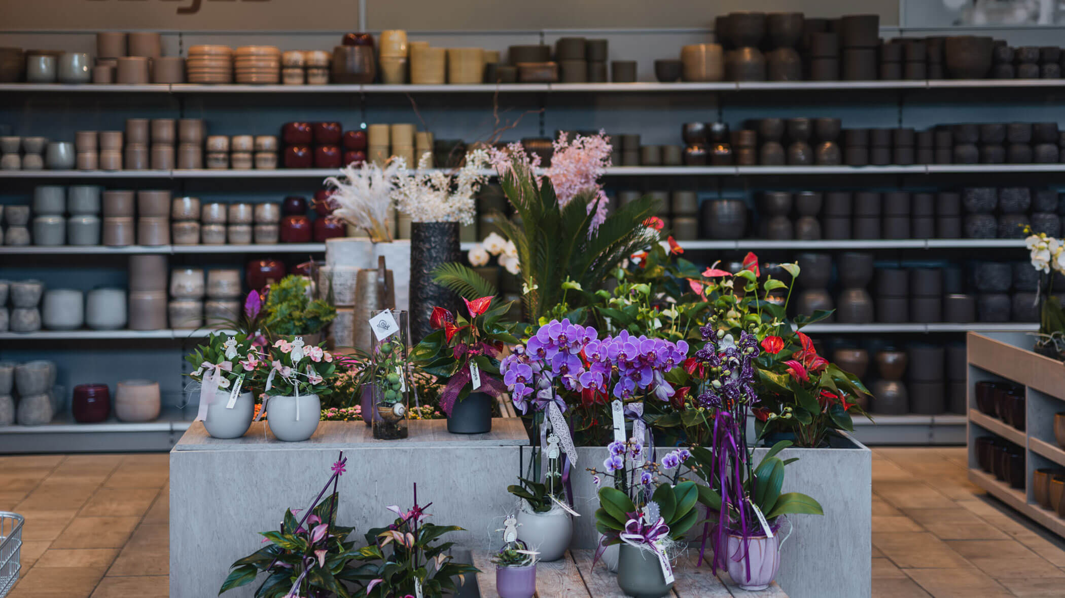Eine Auslage mit bunten Topfblumen vor Regalen, die mit verschiedenen Keramiktöpfen gefüllt sind. - Obojes