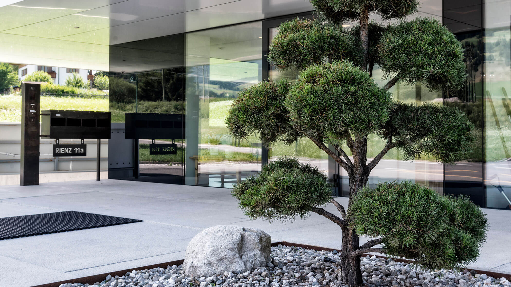 Eine gepflegte Kiefer und ein Stein auf Kies vor dem Eingang eines modernen Glasgebäudes. - Obojes