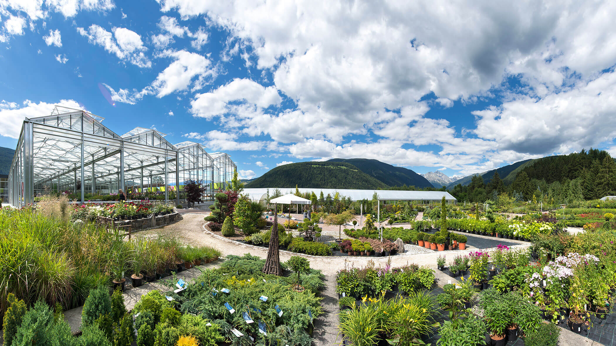 Ein großes Gartencenter im Freien mit Gewächshäusern, Pflanzen, Wegen und Bergen im Hintergrund unter blauem Himmel. - Obojes