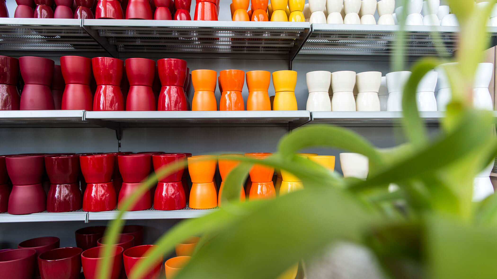 Reihen von roten, orangefarbenen, gelben und weißen Töpfen auf Regalen, mit grünen Pflanzenblättern im Vordergrund. - Obojes