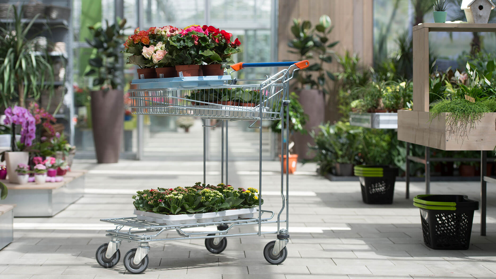 Ein Einkaufswagen, gefüllt mit Topfblumen und Pflanzen in einem hellen, überdachten Gartencenter. - Obojes