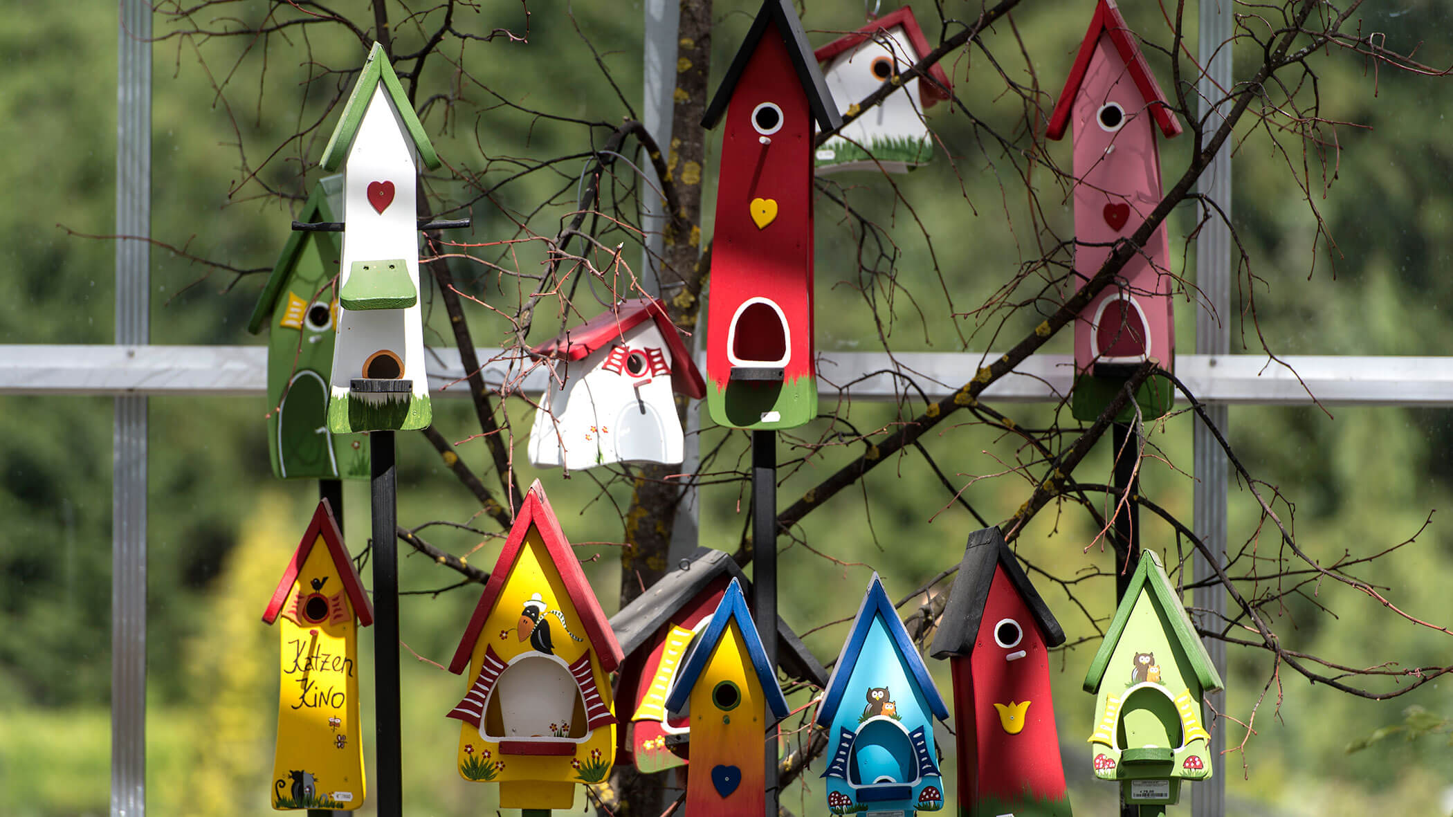 Bunte Vogelhäuschen in verschiedenen Formen sind auf Zweigen vor einem Fenster mit grünem Hintergrund ausgestellt. - Obojes