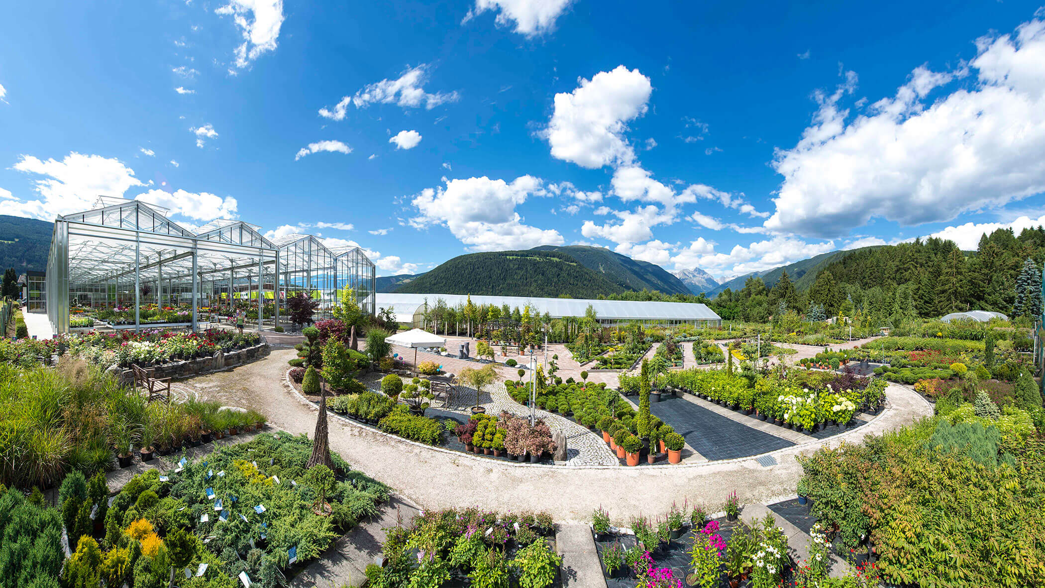 Panoramablick auf ein Gewächshaus und eine Gärtnerei mit Pflanzen, Bergen und einem strahlend blauen Himmel im Hintergrund. - Obojes