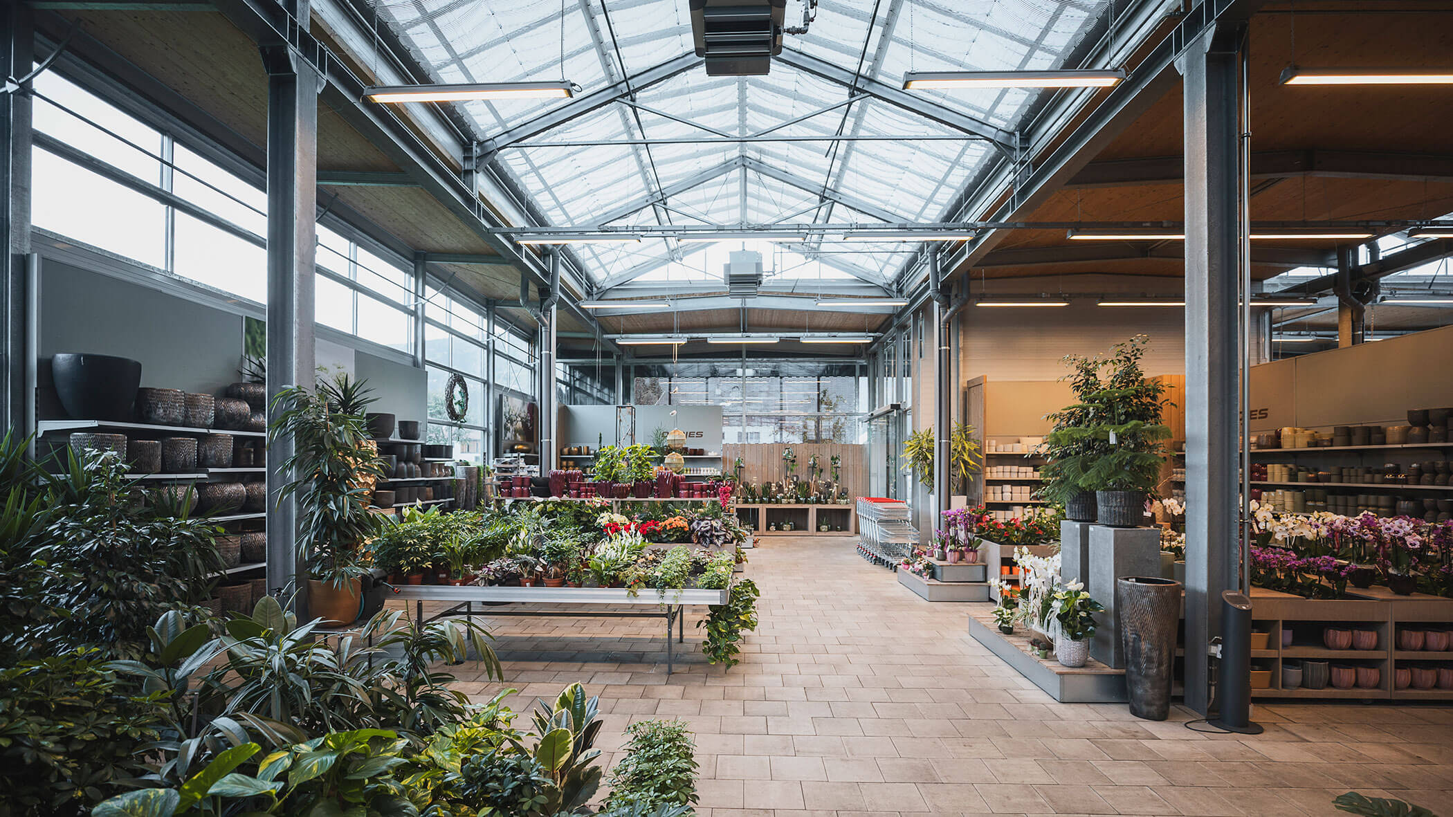 Ein geräumiges Gewächshaus, in dem Topfpflanzen, Blumen und Gartenbedarf ausgestellt sind. - Obojes