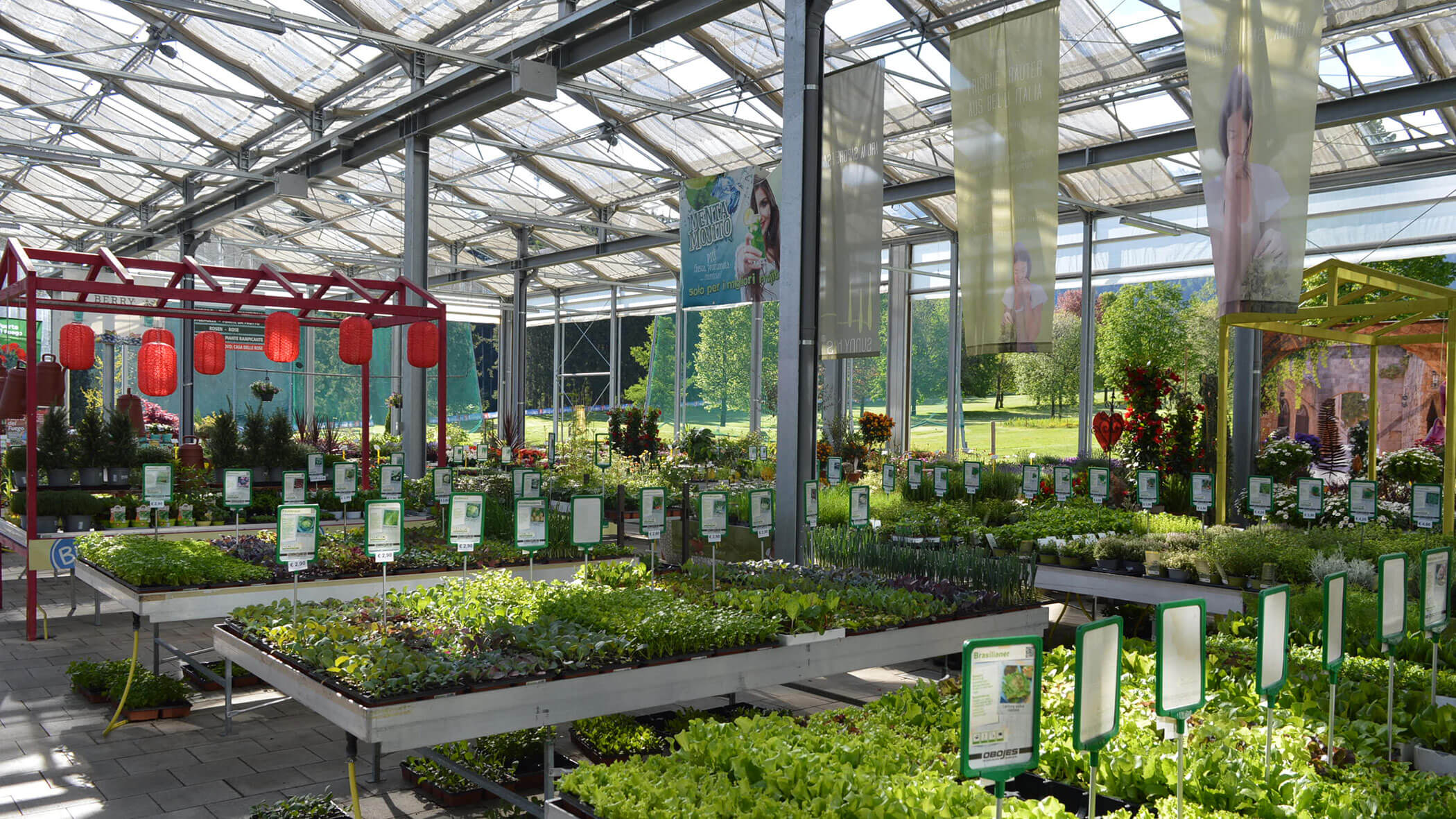 Gewächshaus mit Tischen mit Topfpflanzen, hängenden roten Laternen und großen Bannern unter einem Glasdach. - Obojes