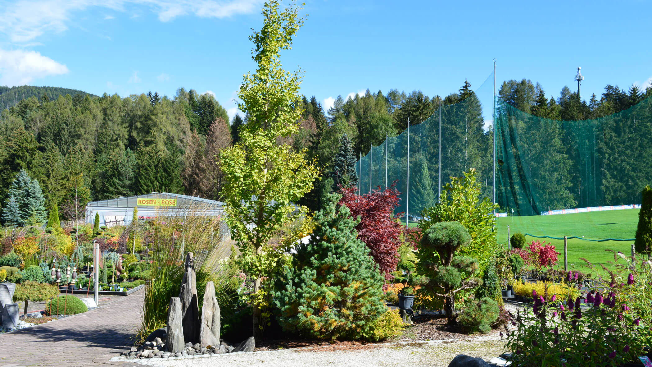 Ein farbenfrohes Gartencenter mit verschiedenen Bäumen, Sträuchern und Pflanzen vor einer Kulisse aus Wald und blauem Himmel. - Obojes