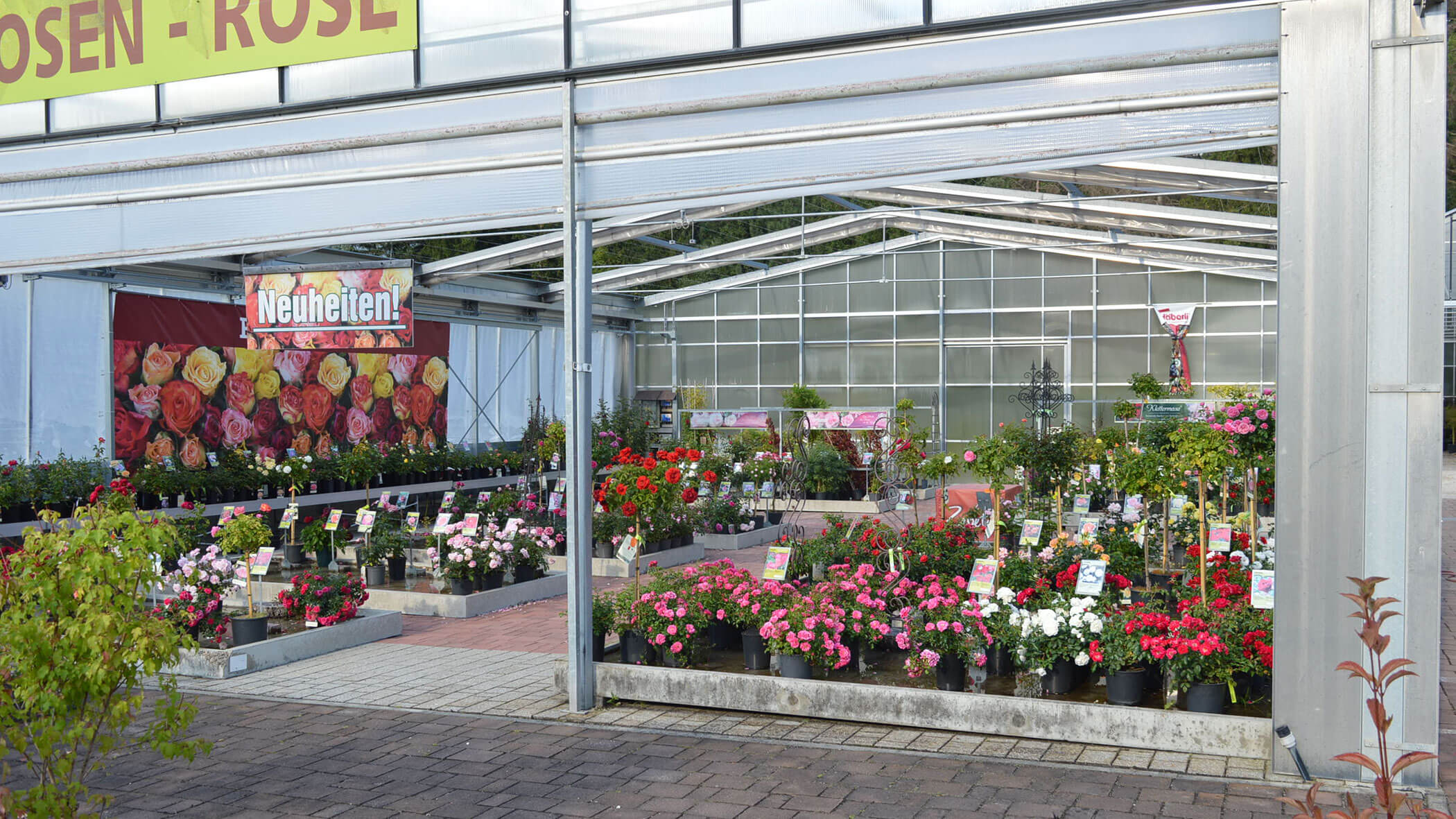 Ein Gewächshaus mit blühenden Topfrosen und farbenfrohen Blumenauslagen, auf dem ein Neuheiten-Schild zu sehen ist. - Obojes
