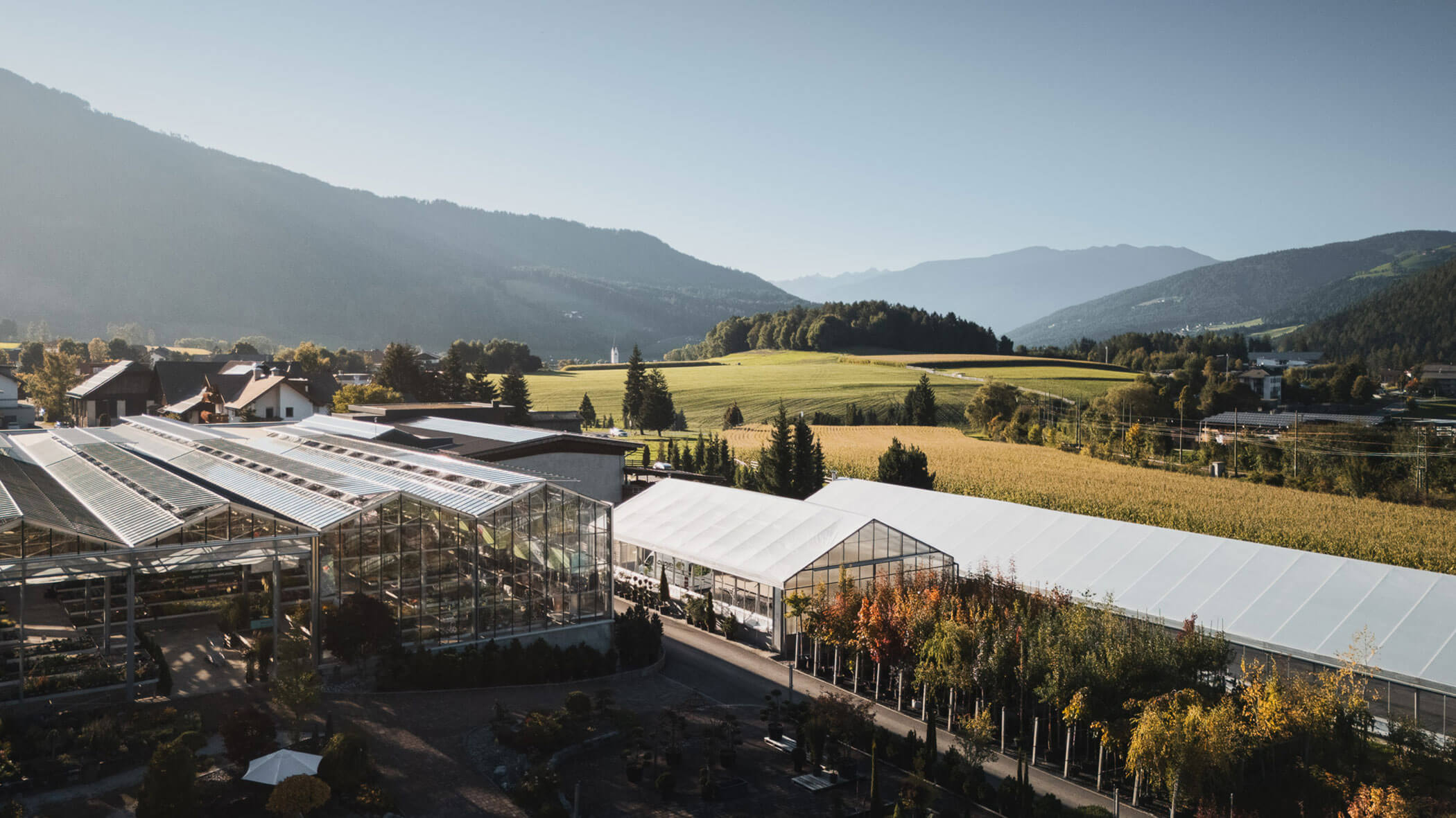 Große Gewächshäuser stehen zwischen Feldern und Bäumen, mit Bergen und einem klaren Himmel im Hintergrund. - Obojes