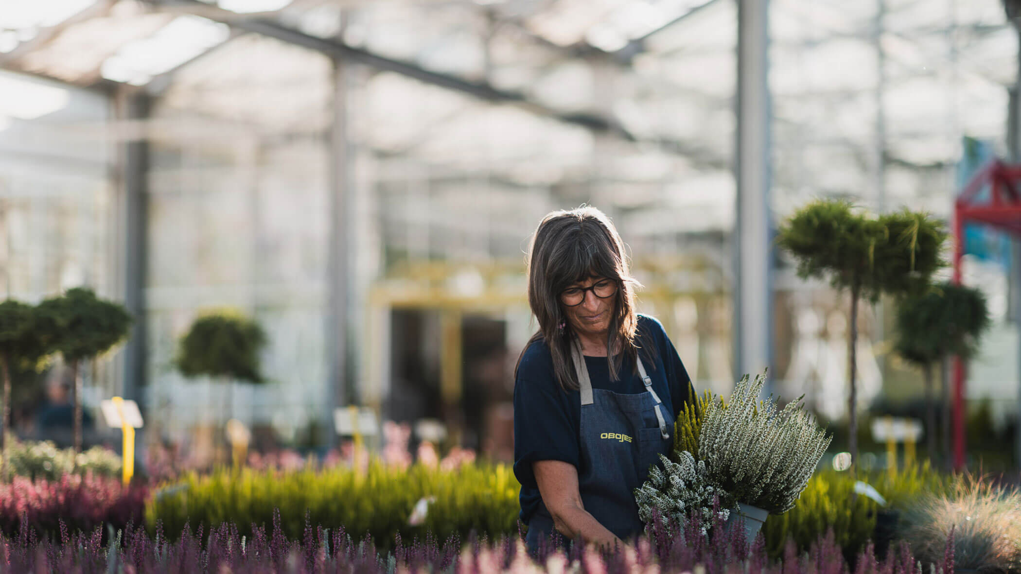 Eine Frau in einer Schürze arrangiert Topfpflanzen in einem Gewächshaus, das mit Blumen und Grünzeug gefüllt ist. - Obojes