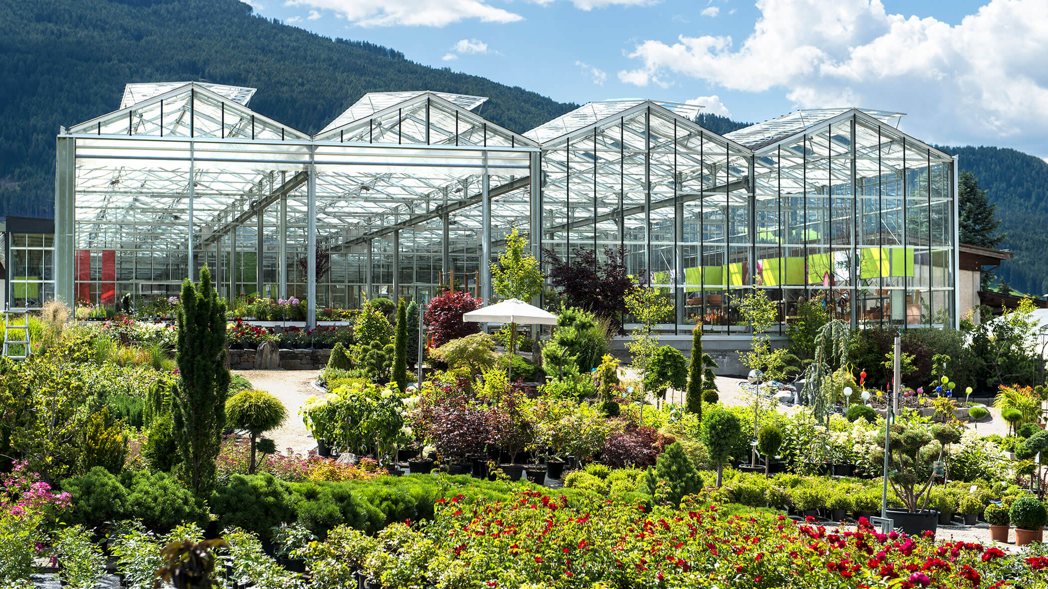 Großes gläsernes Gewächshaus mit Pflanzen und Blumen im Freien vor der Kulisse von Bergen und blauem Himmel. - Obojes