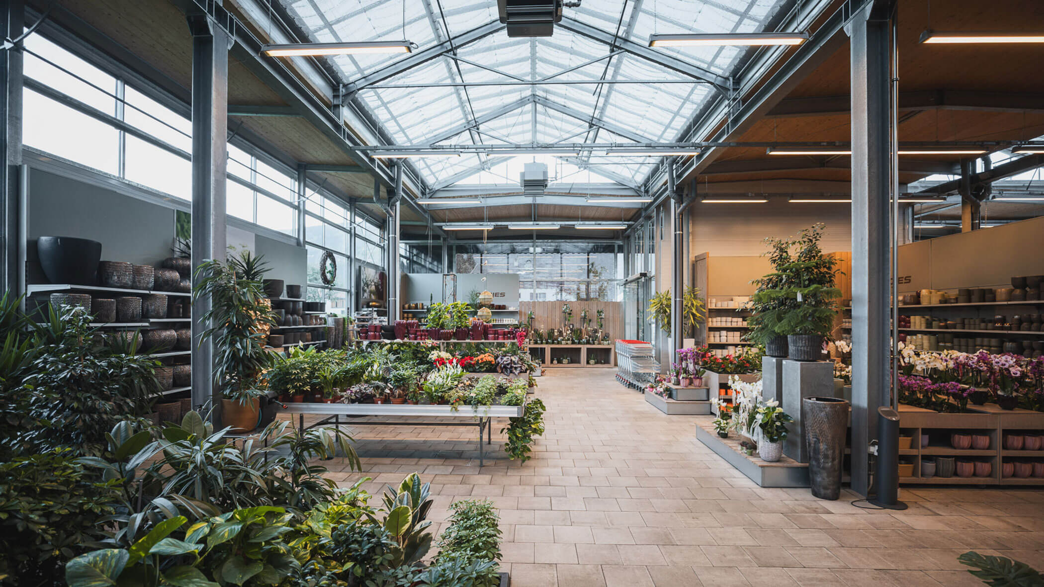Geräumiges, helles Blumengeschäft mit vielen ausgestellten Pflanzen und Blumen unter einem Glasdach. - Obojes