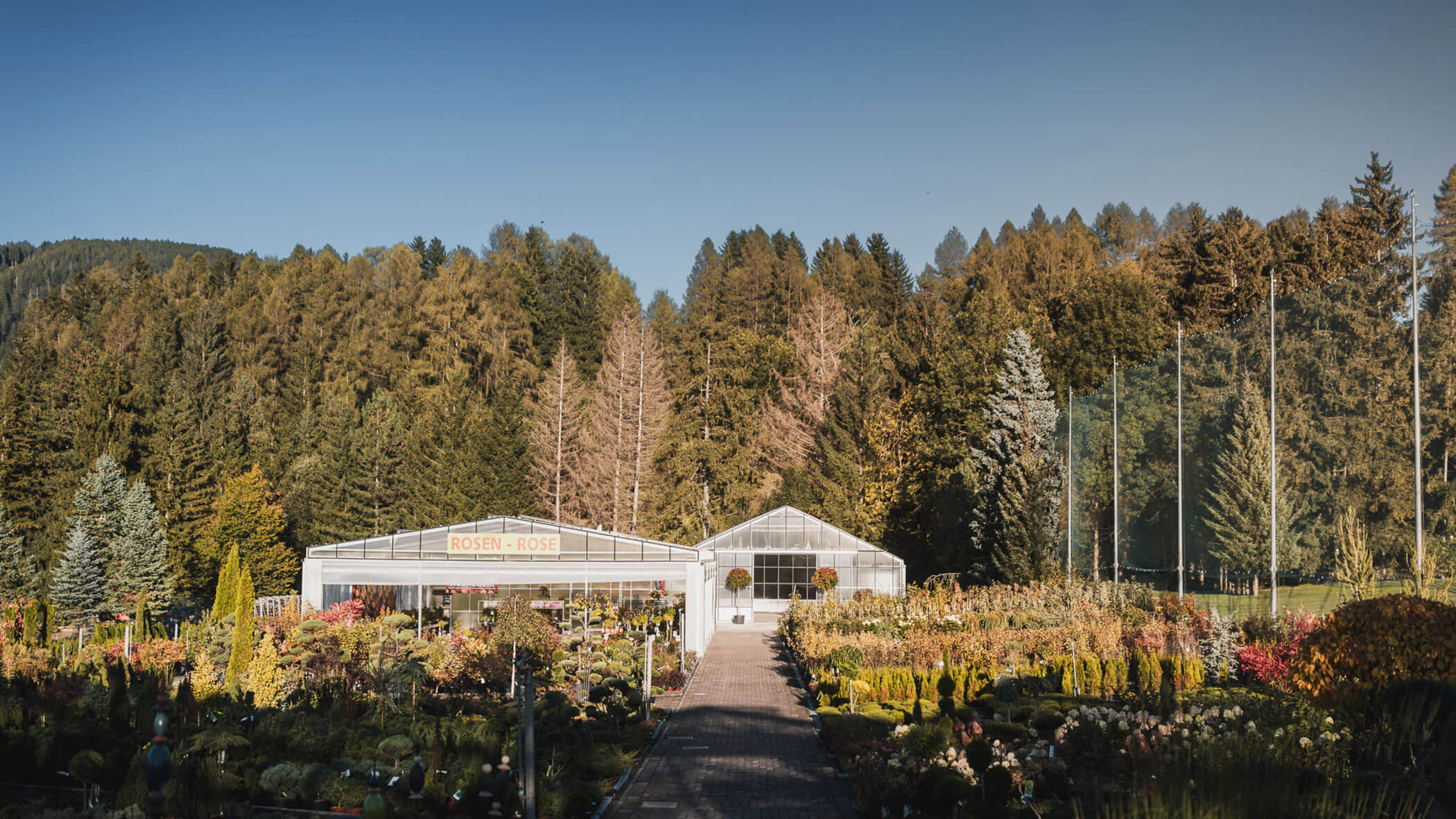 Gewächshaus mit einem Rosenschild, umgeben von Pflanzen und Bäumen, unter einem klaren blauen Himmel. - Obojes