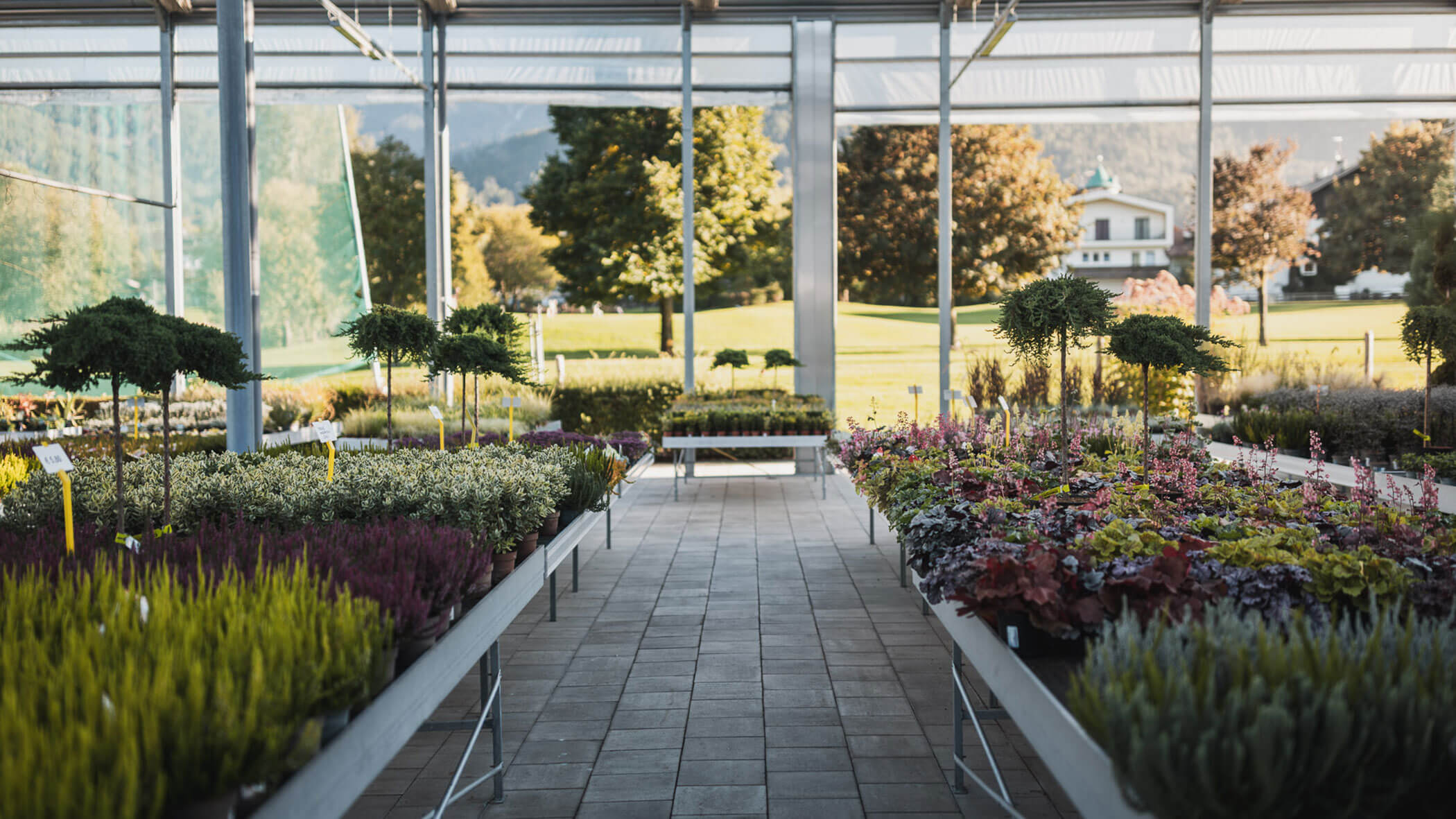 An einem sonnigen Tag werden in einem Gartencenter Reihen von farbenfrohen Pflanzen und Sträuchern ausgestellt. - Obojes